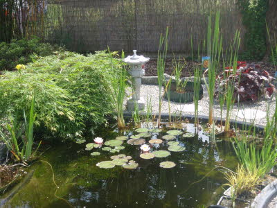 Teich139