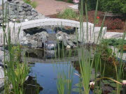 Teich140