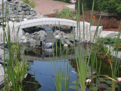 Teich140