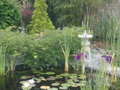 Teich152